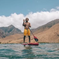 PAGAIE FANATIC CARBON 80 VARIO -SUP Sport Soldes pagaie fanatic carbon 80 vario 2