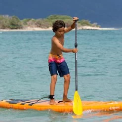 PAGAIE FANATIC RIPPER CARBON 25 VARIO 6.5 -SUP Sport Soldes pagaie fanatic ripper carbon 25 vario 65 3