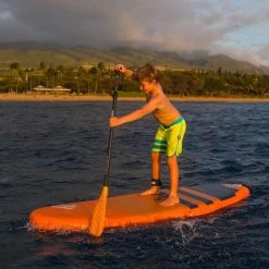 PAGAIE FANATIC RIPPER CARBON 25 VARIO 6.5 -SUP Sport Soldes pagaie fanatic ripper carbon 25 vario 65 5